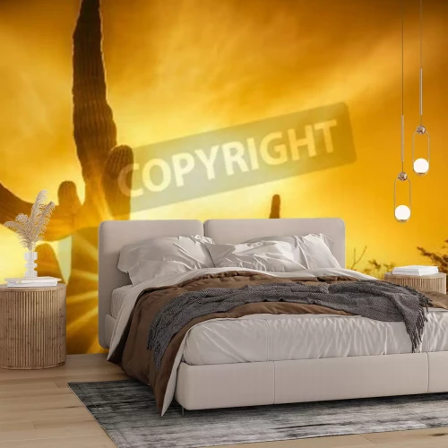 Papier peint  Cactus du désert d'Arizona