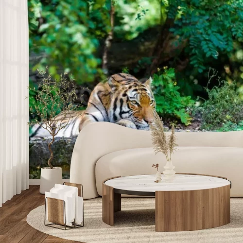 Papier peint  Tigre au repos sur le rocher