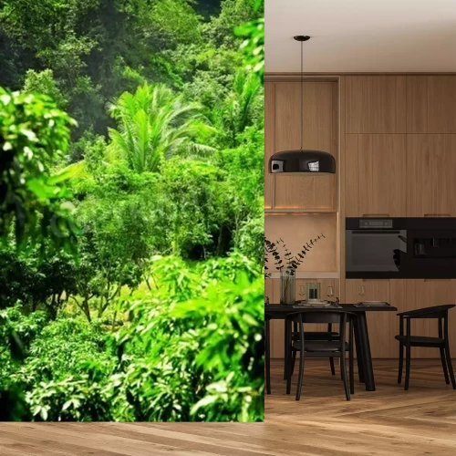 Papier peint  La végétation sauvage dans la forêt vierge