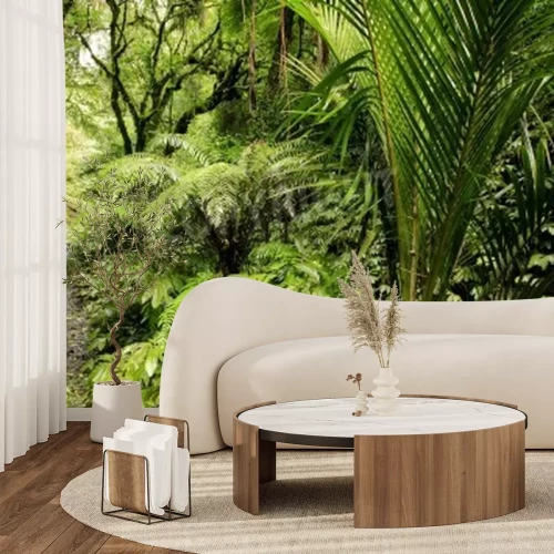 Papier peint  Le chemin étroit à travers la forêt vierge