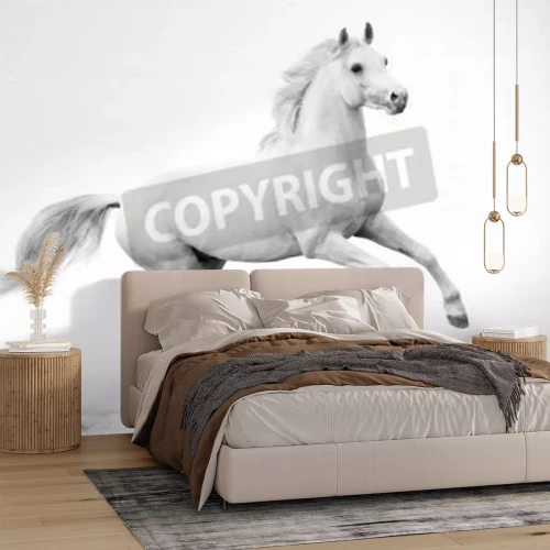 Papier peint  Cheval blanc au galop