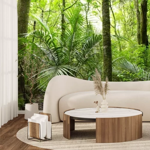 Papier peint  Le palmier dans la jungle tropicale