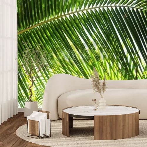 Papier peint  Feuilles vertes des tropiques