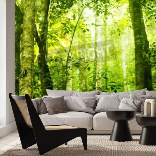 Papier peint  La jungle au matin