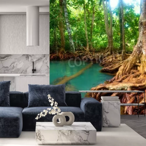 Papier peint  Des racines d'arbres découvertes dans la forêt vierge