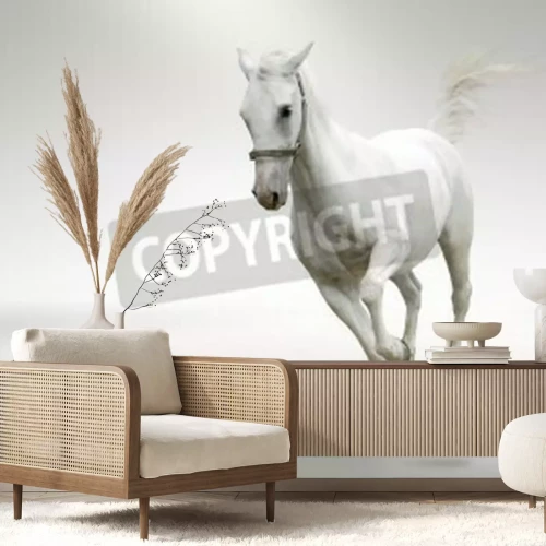 Papier peint  Cheval qui court sur un fond blanc