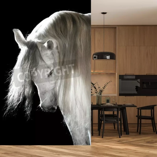 Papier peint  Cheval à la crinière abondante