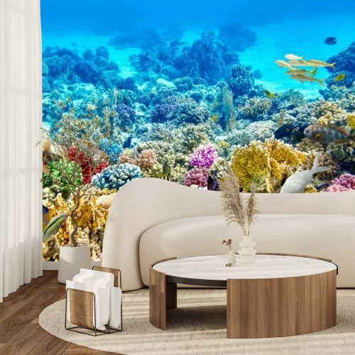 Papier peint  Récif corallien sous-marin