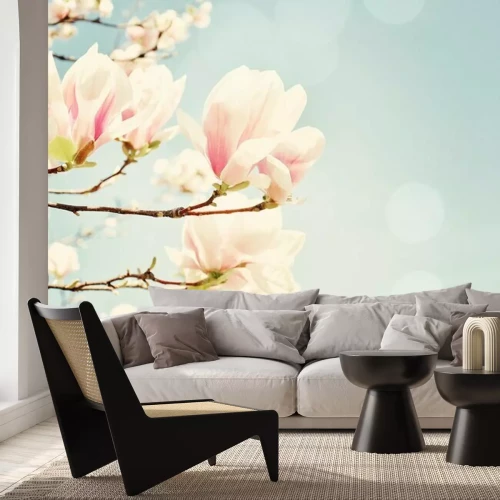 Papier peint  Photo rétro de magnolia