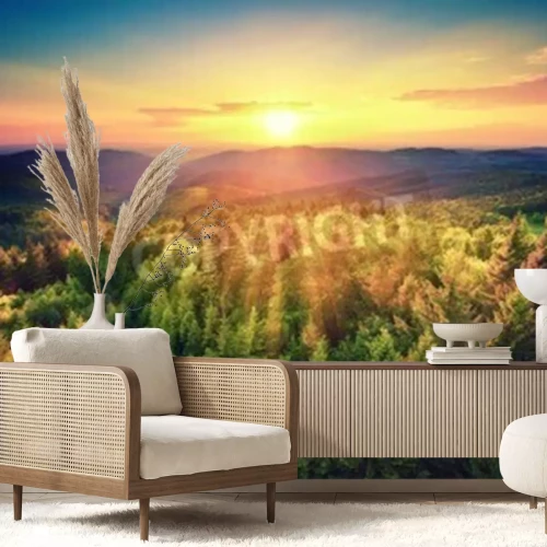 Papier peint  Lever de soleil sur une forêt verte