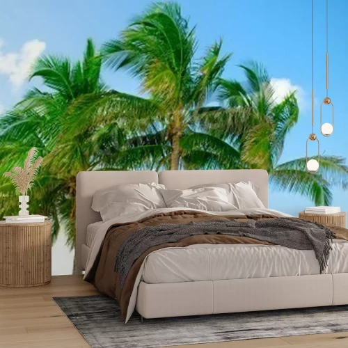 Papier peint  Tropiques et palmiers sur fond de ciel