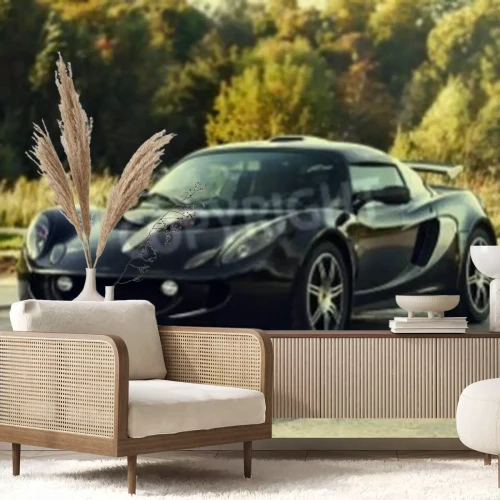 Papier peint  Noir voiture agressive du sport sur la nature fond vert