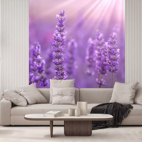 Papier peint  Gros plan sur des fleurs de lavande