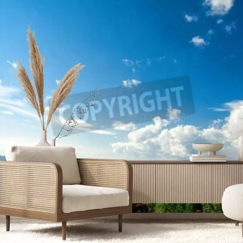 Papier peint  Ciel au-dessus d'une forêt de pins