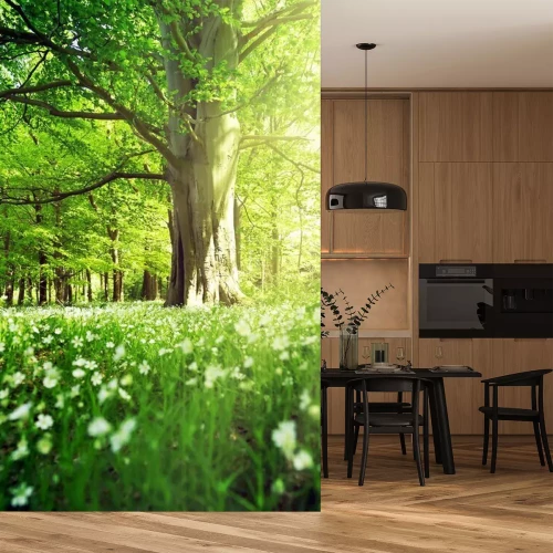 Papier peint  Une forêt de feuillus printanière pleine de verdure fraîche