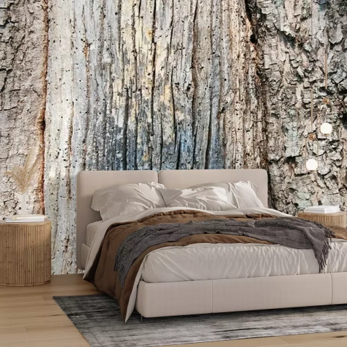 Papier peint  Texture d'écorce d'arbre