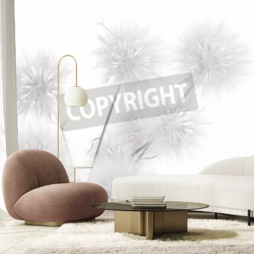 Papier peint  Pissenlits et composition minimaliste