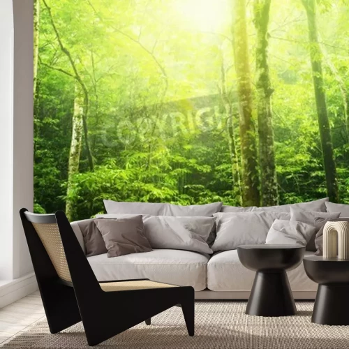 Papier peint  Jungle ensoleillée avec des palmiers