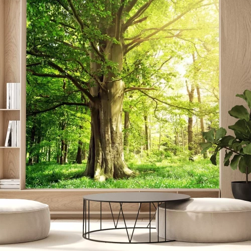 Papier peint  Vieil arbre et verdure