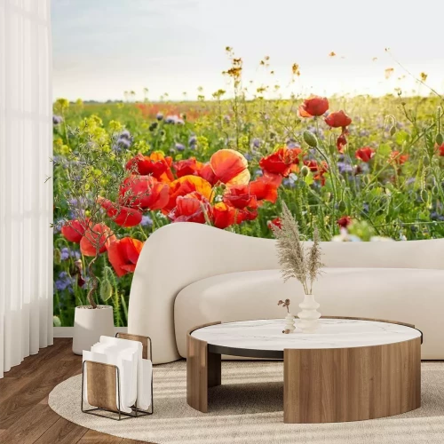 Papier peint  Coquelicots et bleuets dans la prairie