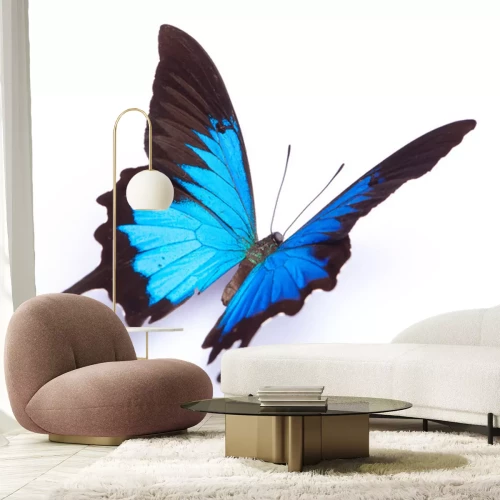 Sticker  Papillon bleu