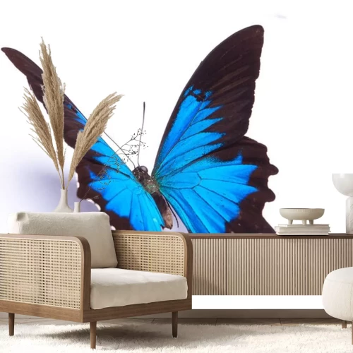 Sticker  Papillon 3D sur fond blanc