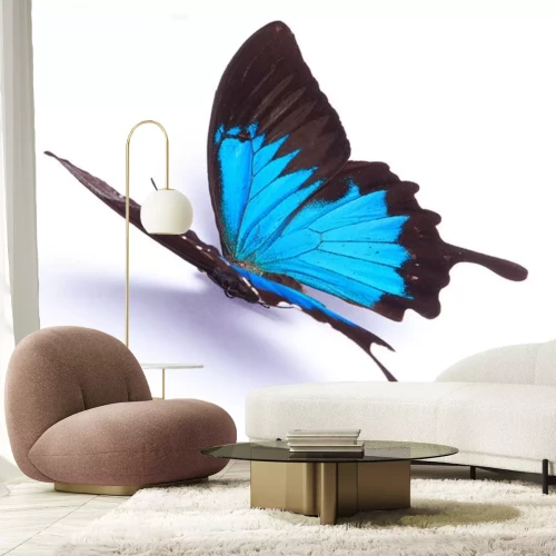 Sticker  Papillon fier sur fond clair