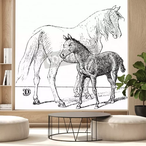 Papier peint  Croquis de chevaux noir et blanc