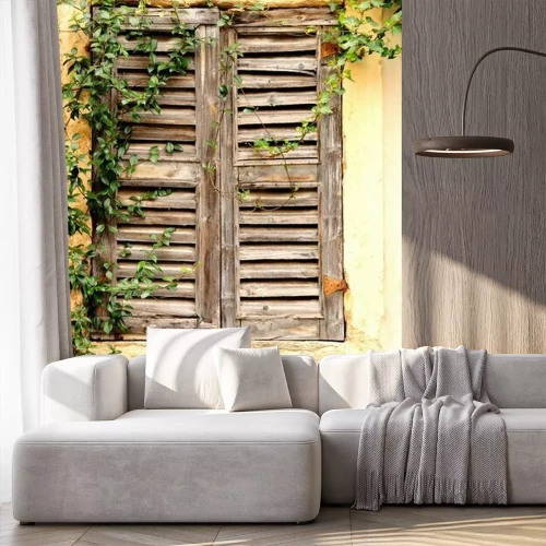 Papier peint  Lierre sur un vieux volet en bois