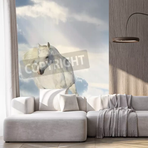 Papier peint  Cheval nuages et neige