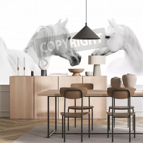 Papier peint  Chevaux arabes sur fond blanc