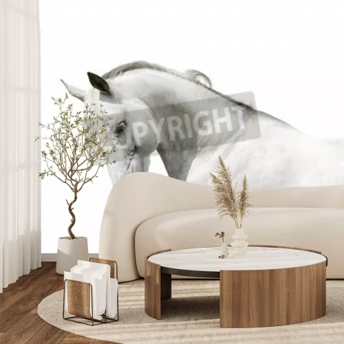 Papier peint  Cheval blanc sur un fond clair