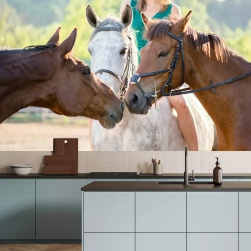 Papier peint  Chevaux de couleurs dans le paddock