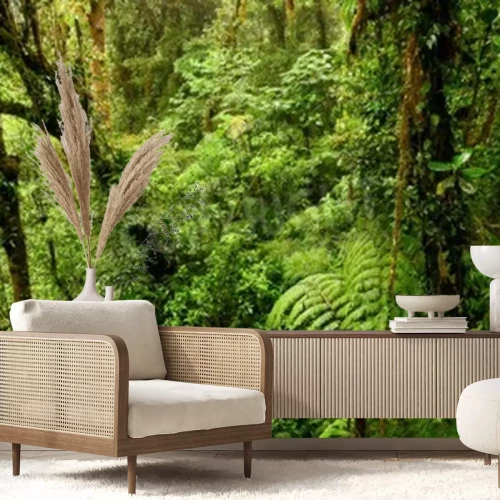Papier peint  Nature verte dans la forêt vierge