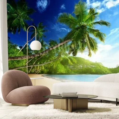 Papier peint  Le coucher de soleil et les tropiques