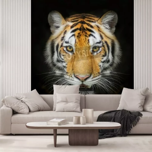 Papier peint  Portrait animal sur fond noir