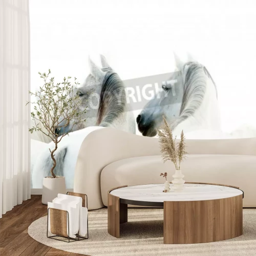 Papier peint  Trois chevaux sur un fond blanc