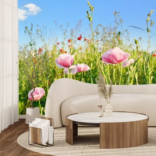 Papier peint  Coquelicots roses dans une clairière