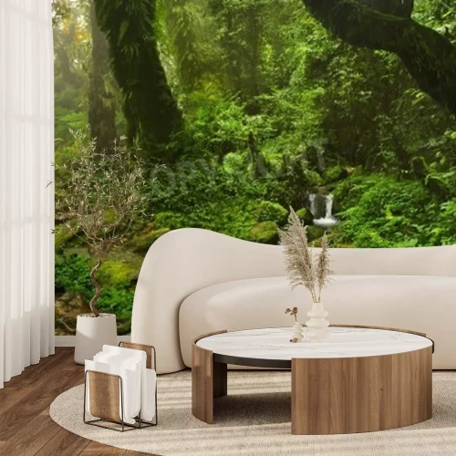 Papier peint  Le petit ruisseau dans la forêt vierge