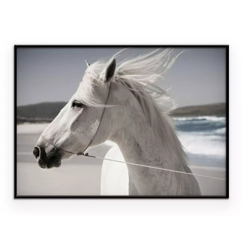Poster  Un cheval sur le sable au bord de la mer