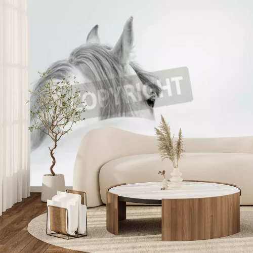 Papier peint  Cheval andalou