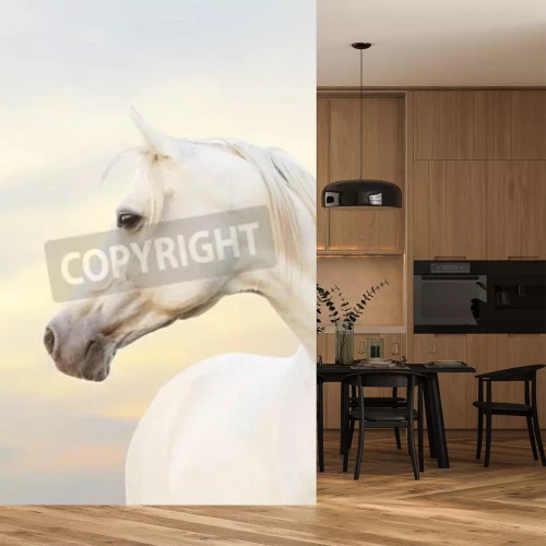 Papier peint  Cheval arabe blanc