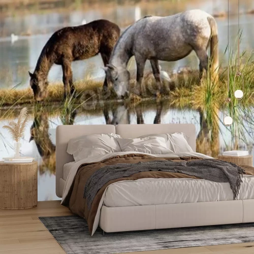 Papier peint  Chevaux reflet dans le lac