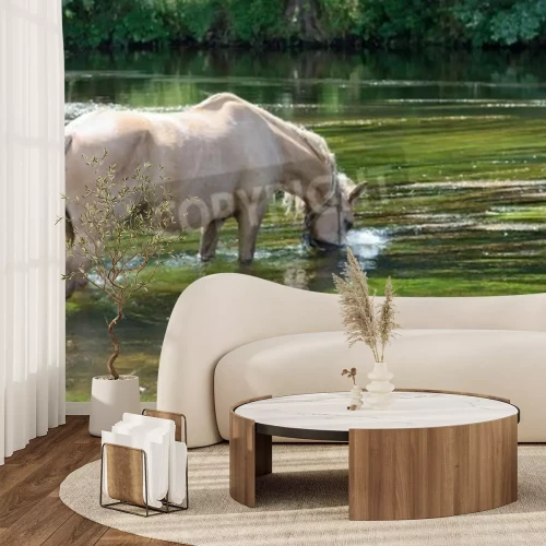 Papier peint  Cheval buvant l'eau du lac