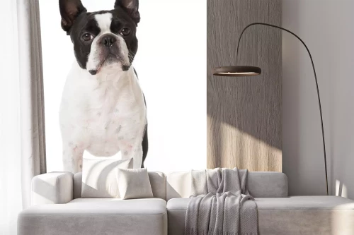 Visualisation du produit