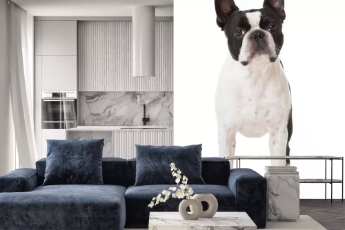 Visualisation du produit