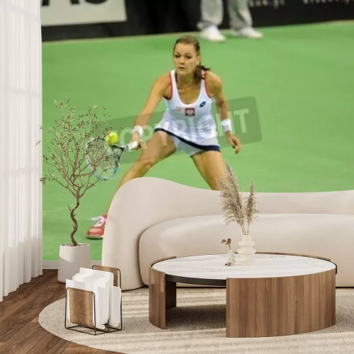 Papier peint  Tennis match d'Agnieszka Radwanska