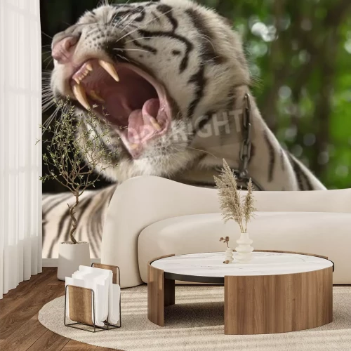 Papier peint  Tigre terrible dans la jungle