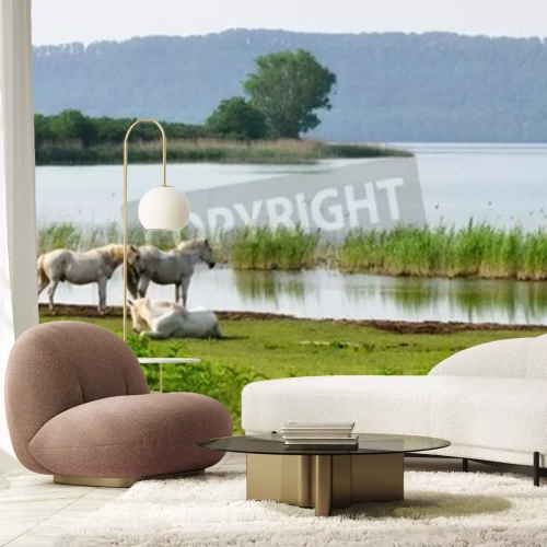 Papier peint  Chevaux au bord d'un lac