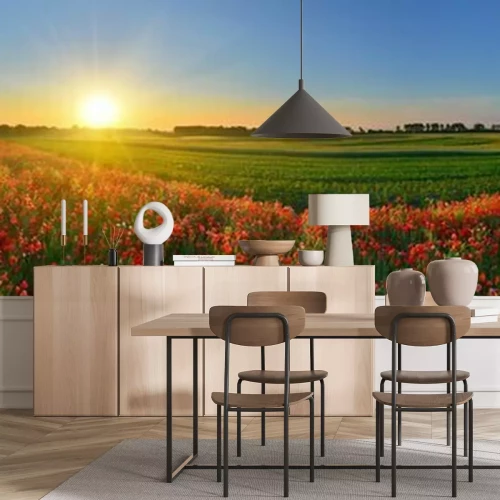 Papier peint  Panorama d'un champ avec des fleurs rouges